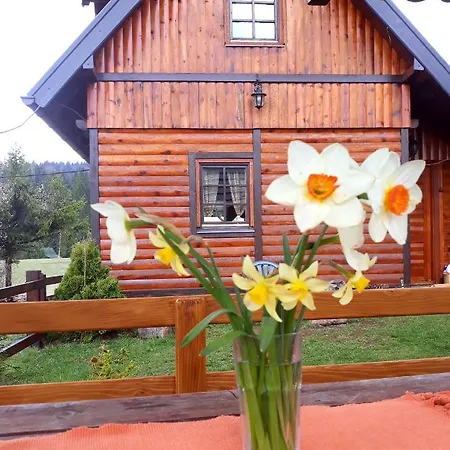 Lodge Brvnare Na Brdu Sljivovica (Zlatibor)