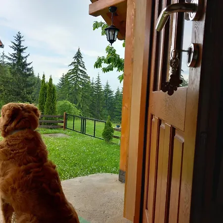 Brvnare Na Brdu Lodge