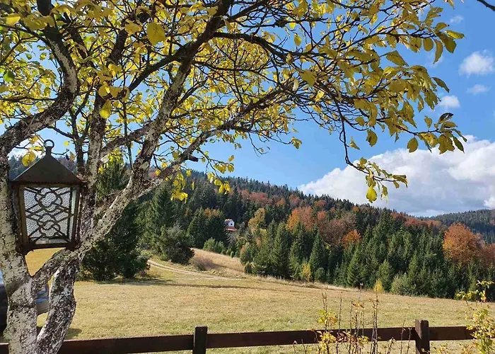Alojamento de Turismo Selvagem Brvnare Na Brdu *