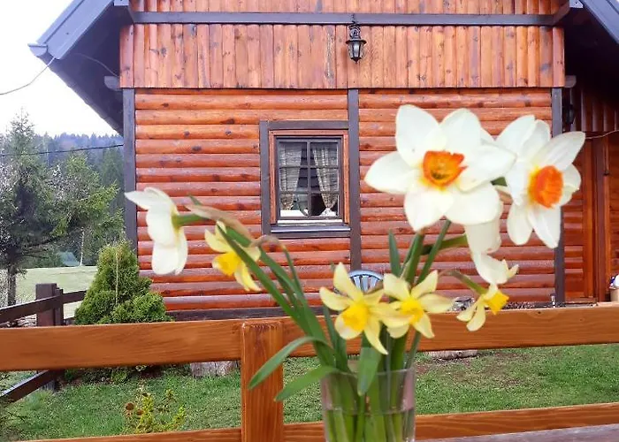 Alojamento de Turismo Selvagem Brvnare Na Brdu Sljivovica (Zlatibor)