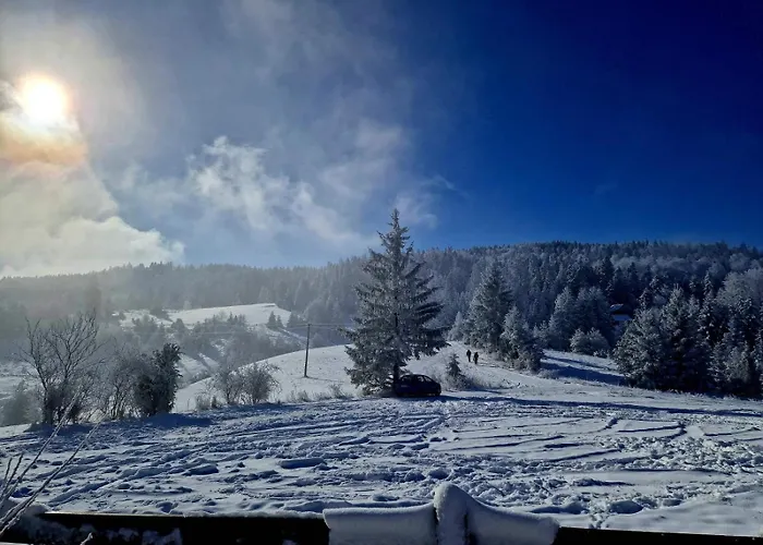 Brvnare Na Brdu Alojamento de Turismo Selvagem *