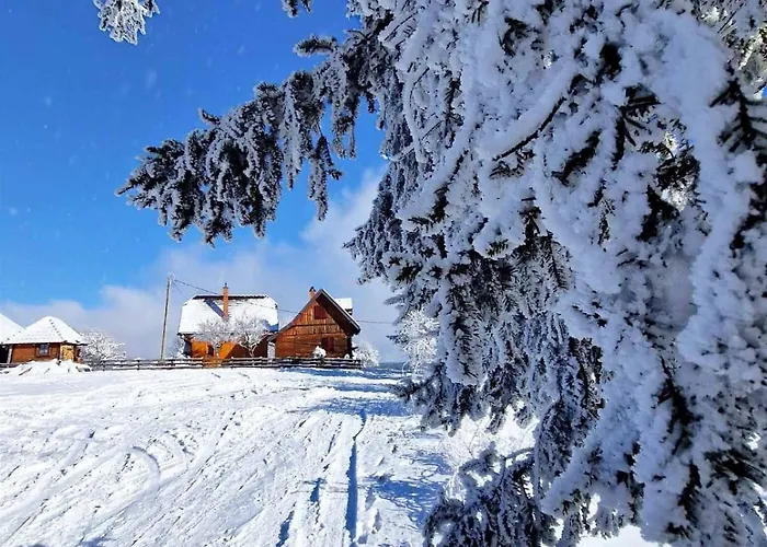 Alojamento de Turismo Selvagem Brvnare Na Brdu