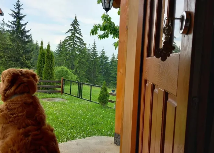 Brvnare Na Brdu Alojamento de Turismo Selvagem