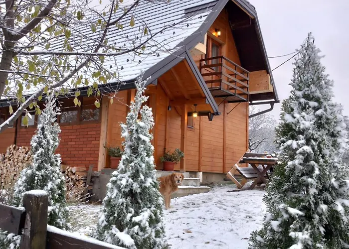 Brvnare Na Brdu Sljivovica (Zlatibor)