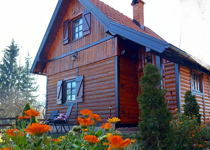 Brvnare Na Brdu * Sljivovica (Zlatibor)