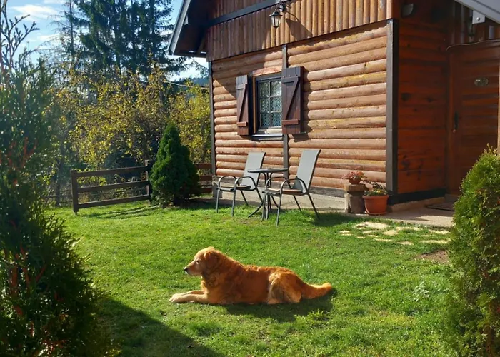 Brvnare Na Brdu Alojamento de Turismo Selvagem Sljivovica (Zlatibor)