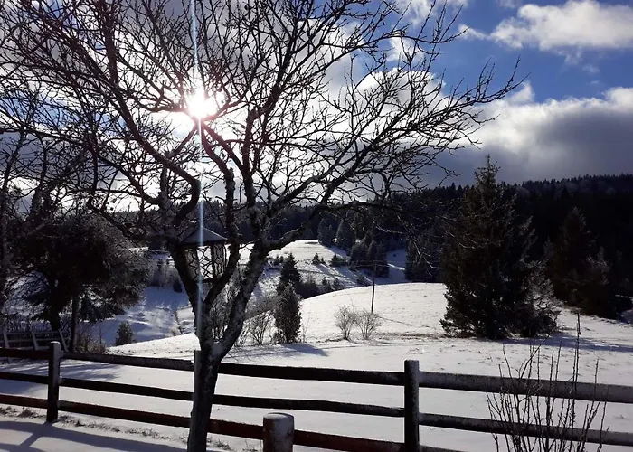 Brvnare Na Brdu Alojamento de Turismo Selvagem