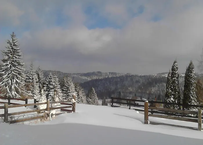 Brvnare Na Brdu * Sljivovica (Zlatibor)